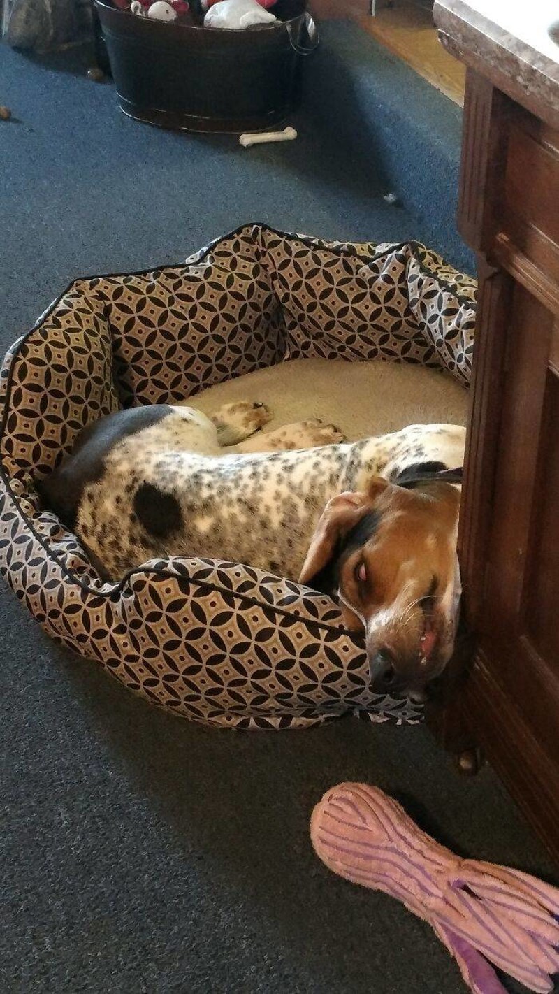 26. Još jedan koji ima vlastiti pojam udobnosti