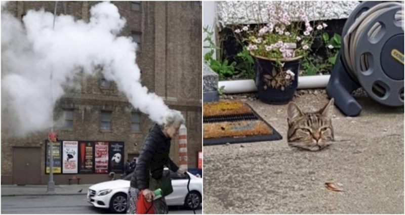 17 smiješnih fotki od kojih će vam se nad glavom pojaviti brojni upitnici