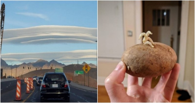 19 ljudi uočili su jako rijetke prizore i pojave i morali ih odmah svima pokazati