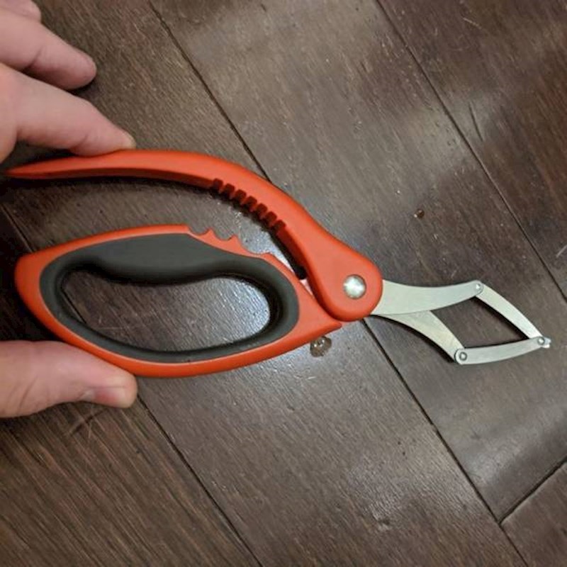 Kliješta za jesti rakove