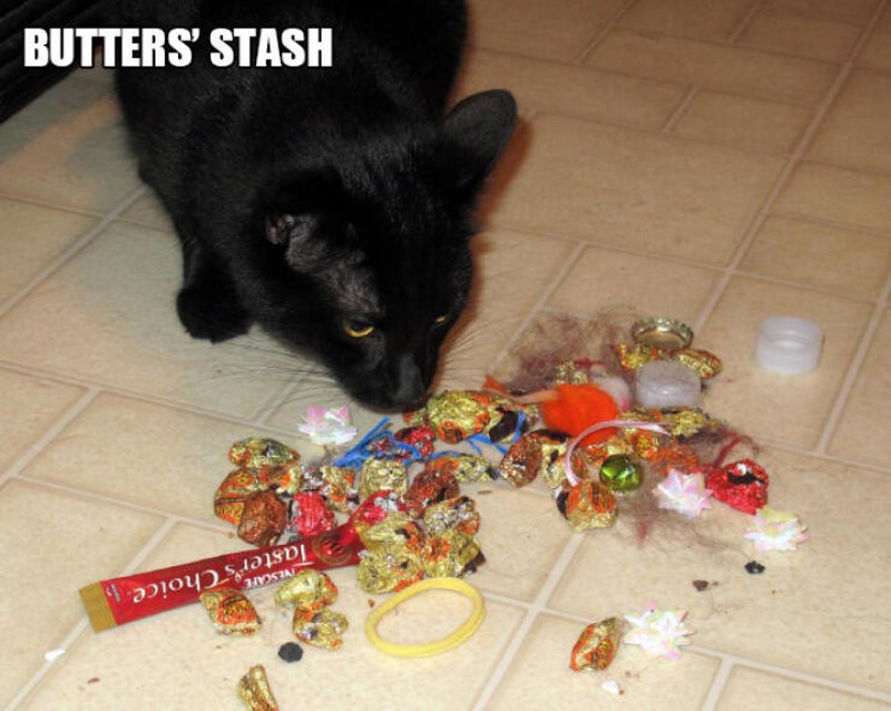 19. Butterova kolekcija