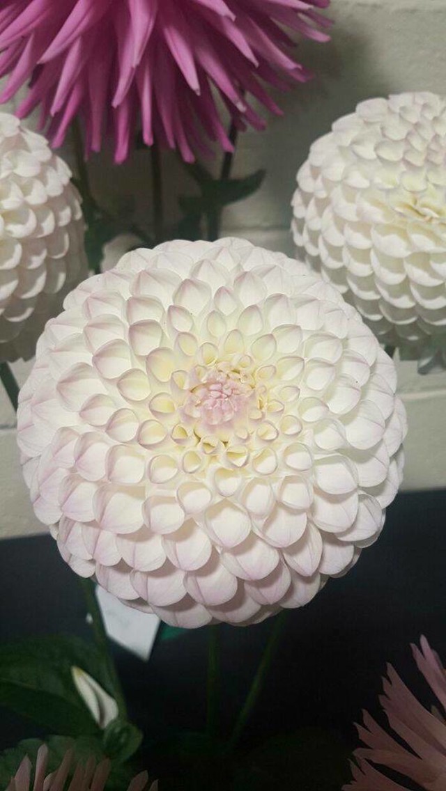 8.