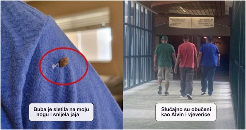 19 ljudi uočili su prezanimljive prizore i morali ih odmah podijeliti sa svima na internetu