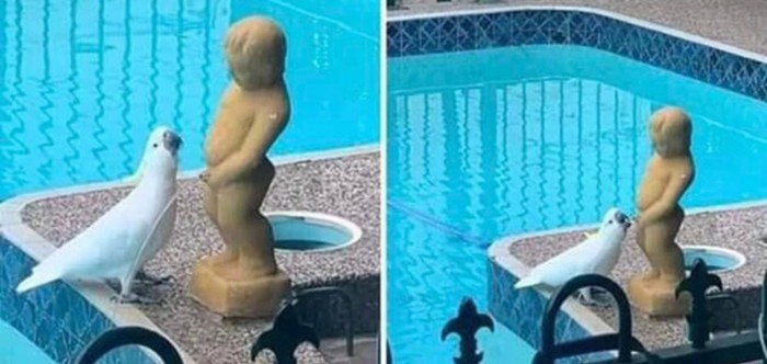 20+ puta kad su ljudi ugledali totalno bizarne prizore i odmah ih morali svima pokazati