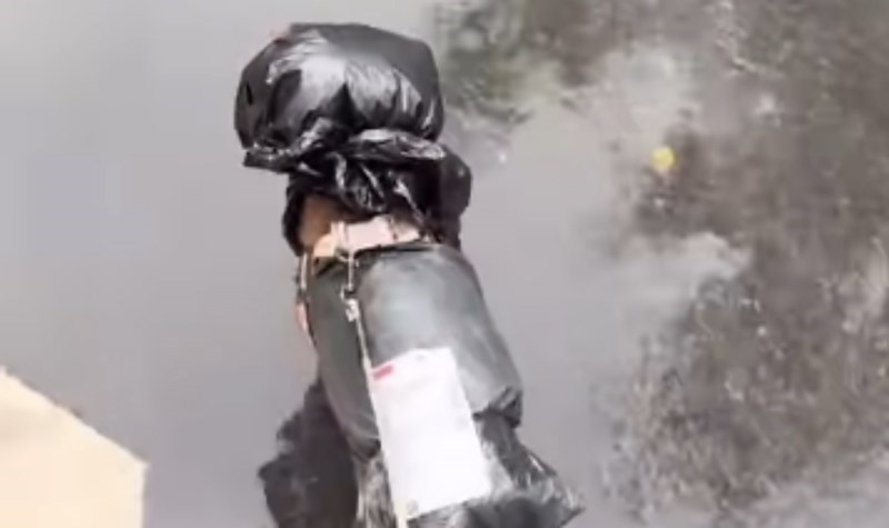 Vlasnica je napravila improviziranu kabanicu za svog psića, hit snimka je nasmijala cijeli internet