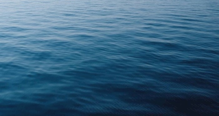 Djevojci je upao mobitel u ocean, ostat ćete potpuno zapanjeni kad vidite tko joj ga je vratio
