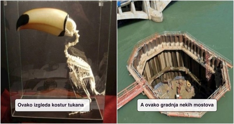 17 ljudi pokazali su rijetke i zanimljive prizore koje vjerojatno nikada niste vidjeli