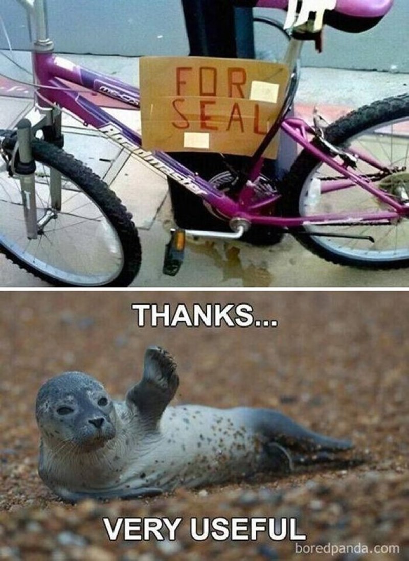 Netko je krivo napisao "prodaje se (for sale)" pa je ispalo da piše "za tuljana (for seal)". To je inspiriralo ovaj urnebesni meme.