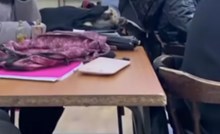 Snimka iz jedne učionice totalni je hit na FB-u, morate vidjeti što je učenica donijela na nastavu