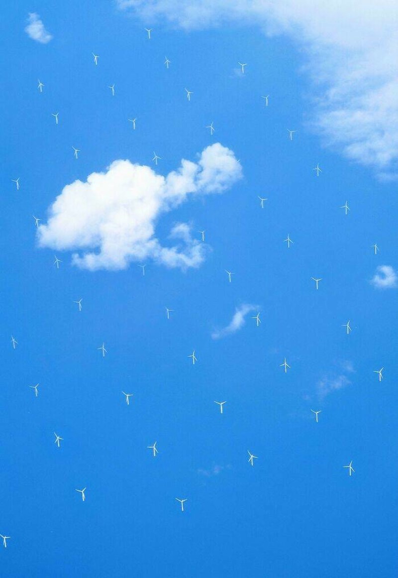 11. Vjetrenjače fokane iz aviona