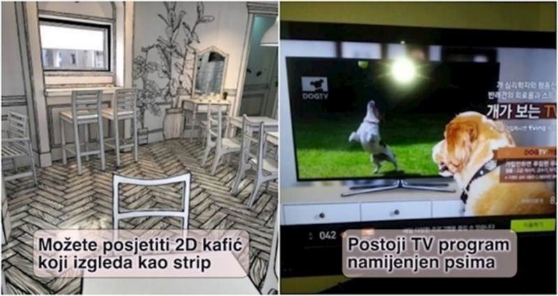 20+ fotki koje dokazuju da ljudi u Južnoj Koreji već žive u budućnosti