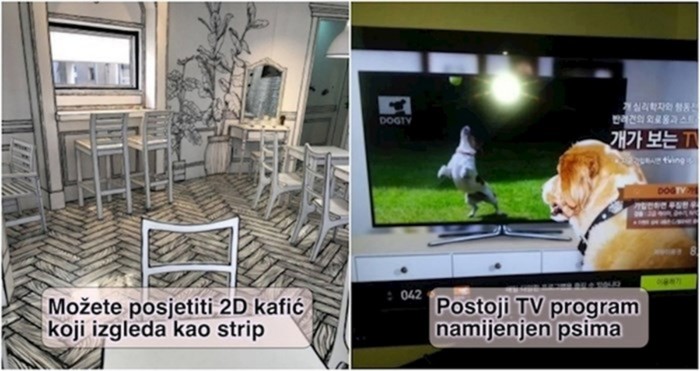 20+ fotki koje dokazuju da ljudi u Južnoj Koreji već žive u budućnosti