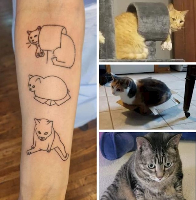 7. Napravila sam tetovaže svojih mačaka. Najbolja odluka ikad!