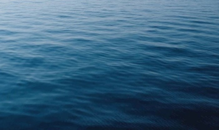 Djevojci je upao mobitel u ocean, ostat ćete potpuno zapanjeni kad vidite tko joj ga je vratio