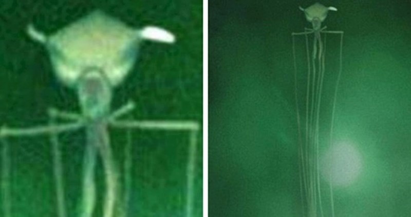 15 rijetkih pojava koje pokazuju da priroda može biti istovremeno veličanstvena i jeziva