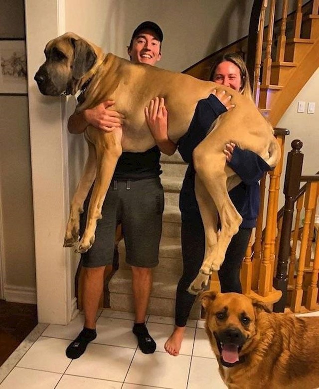 3.