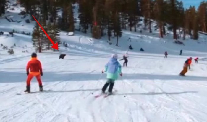 Tata i sin iz BiH doživjeli su bizarnu situaciju na skijanju, snimka je brzinom munje obišla svijet