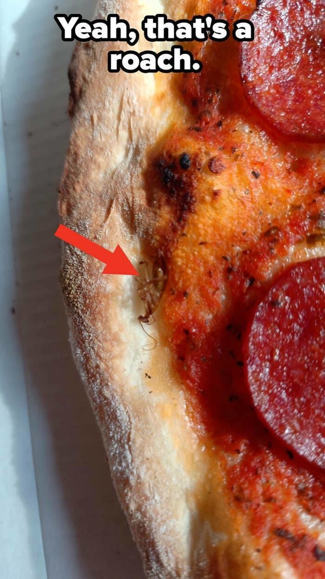 13. Da, to je žohar na pizzi