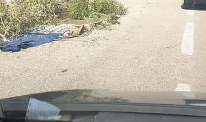 Tisuće na Fejsu lajkaju prizor snimljen na cesti negdje u Dalmaciji, odmah ćete vidjeti zašto je hit
