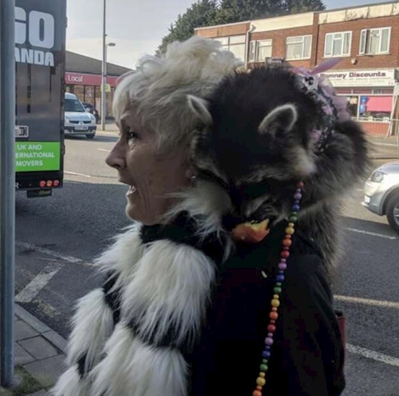 12. Žena i njezin rakun u šetnji