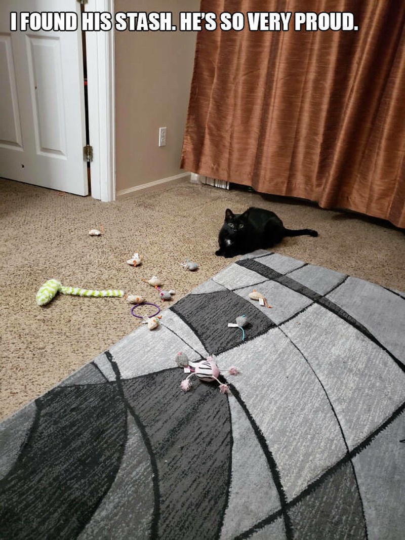 8. Pronašla sam njegovu kolekciju. Tako je ponosan.