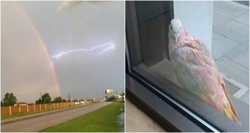 17 fascinantnih fotografija koje vrijedi vidjeti barem jednom u životu