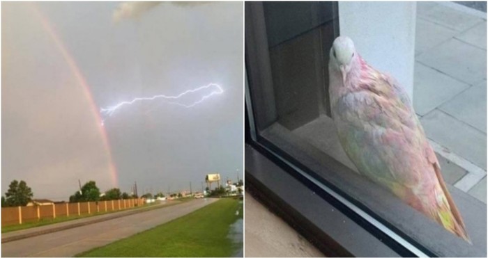 17 fascinantnih fotografija koje vrijedi vidjeti barem jednom u životu