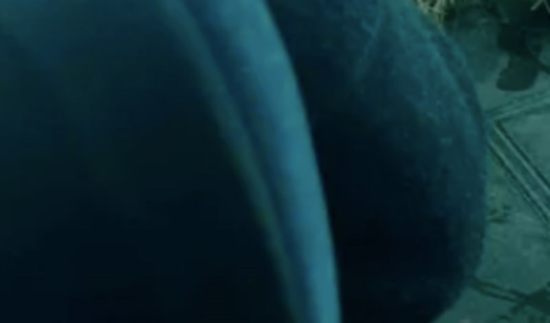 Bizaran prizor iz Srbije obišao je cijeli Balkan, morate vidjeti što je putnik unio u autobus