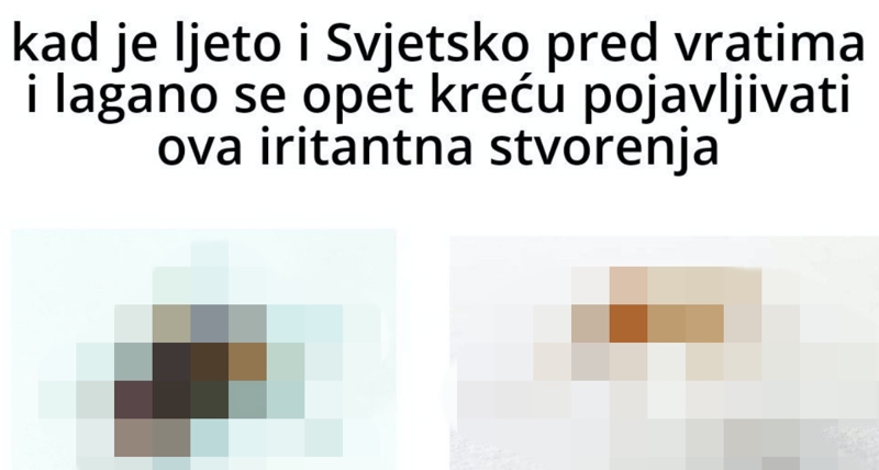 Preko 4 tisuće lajkova: Fora o ljetu, Svjetskom prvenstvu i dosadnim stvorenjima teški je hit
