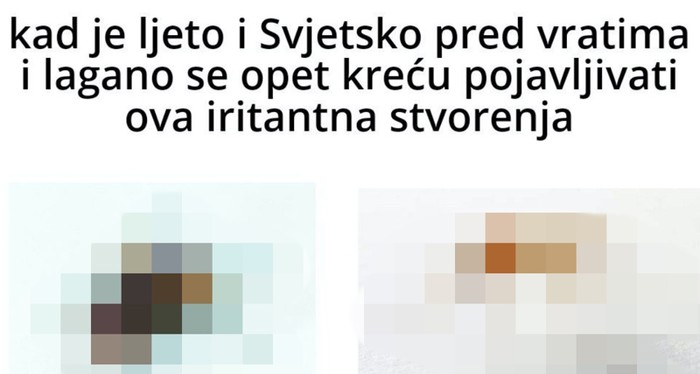 Preko 4 tisuće lajkova: Fora o ljetu, Svjetskom prvenstvu i dosadnim stvorenjima teški je hit