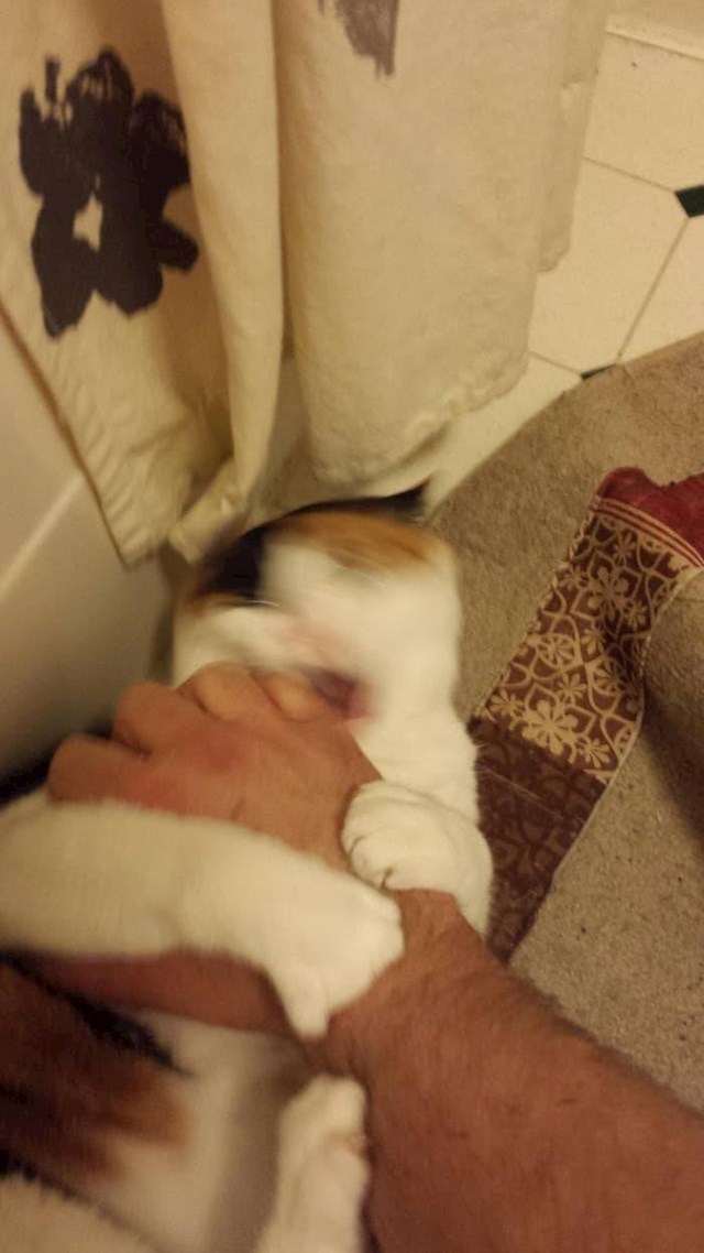 3. A ovo se dogodi kad upadnete u tu zamku
