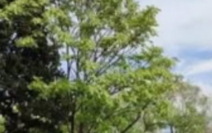 Vozač Audija razbjesnio je ljude na Facebooku, nećete vjerovati kad vidite gdje je parkirao