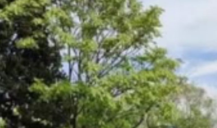 Vozač Audija razbjesnio je ljude na Facebooku, nećete vjerovati kad vidite gdje je parkirao