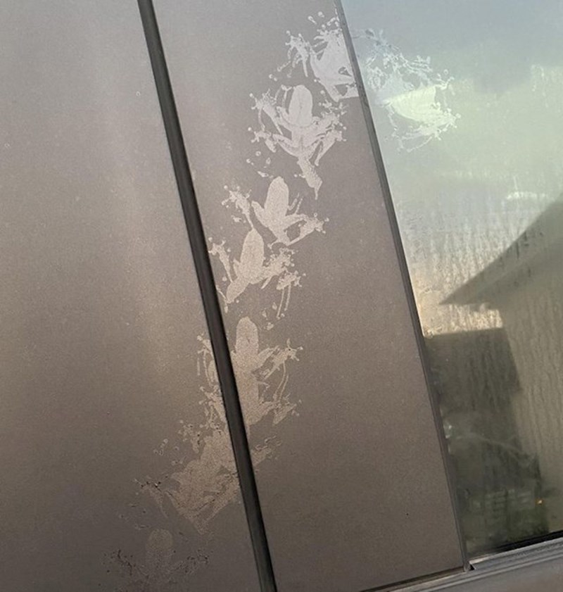 5. Žaba je skakutala po autu i ostavila tragove