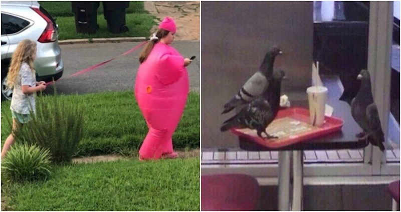 20+ totalno čudnih prizora koje su ljudi slučajno uočili i morali odmah svima pokazati