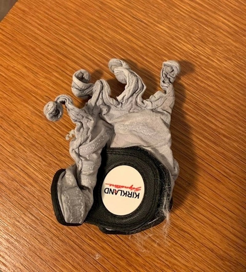 "Ovo se dogodi kad vam rukavica prije pranja ostane u džepu."