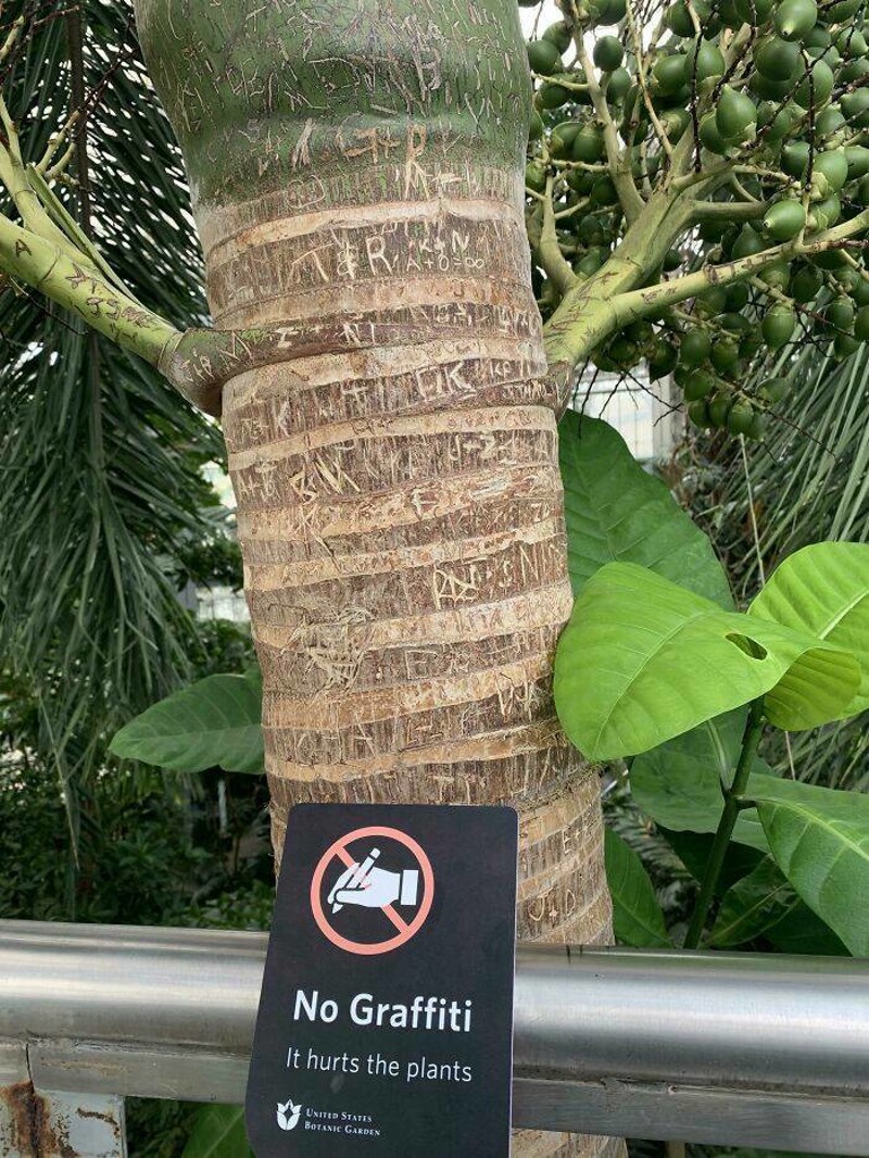 5. Neki ljudi uopće ne poštuju prirodu