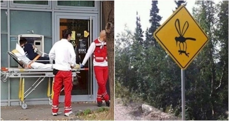 17 bizarnih prizora za koje ne postoji nikakvo logično objašnjenje