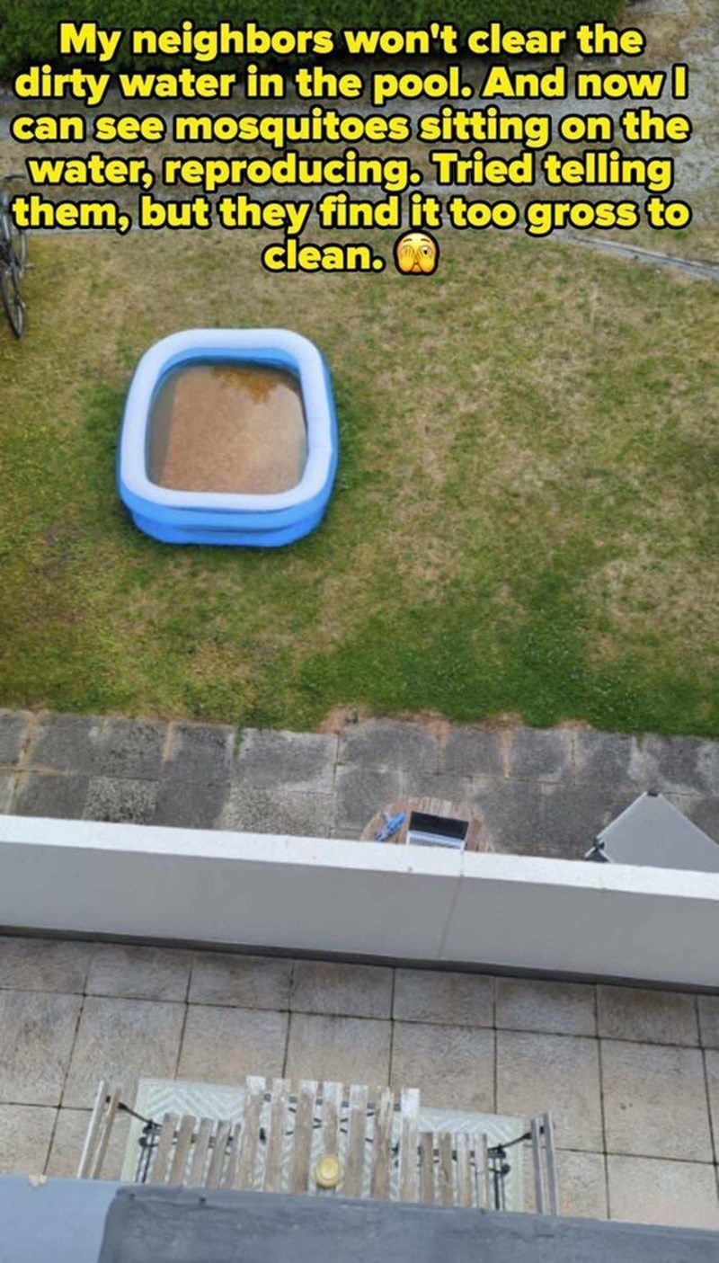 1. Moj susjed ne želi promijeniti prljavu vodu u svojem bazenčiću. Doslovno vidim komarce kako sjede na toj vodi i razmožavaju se. Pokušao sam ga zamoliti da to napravi, ali kaže da mu se gadi.