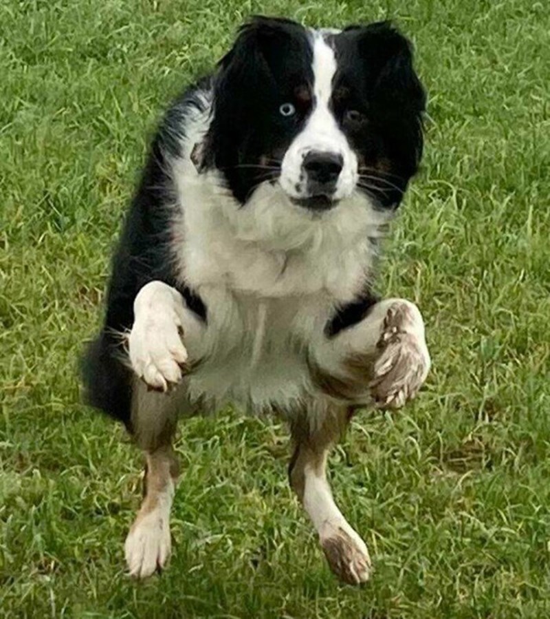 6. Kakva li je ovo poza?🤣