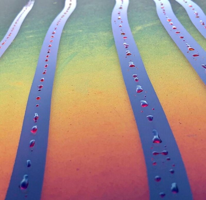 13. Prešao je prstima preko orošenog krova automobila i fotkao nastali prizor.