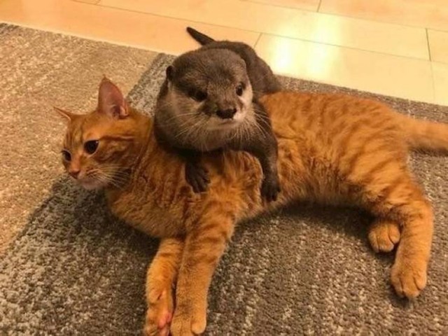 9.