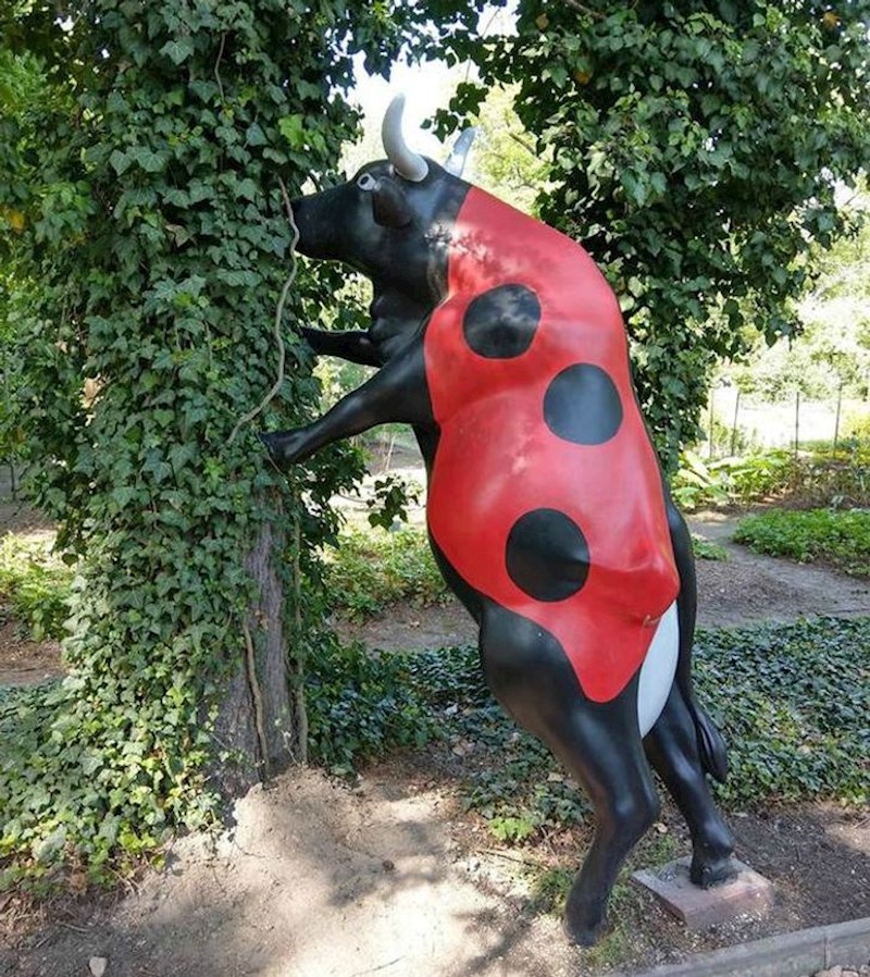 8. Mutant bika i bubamare