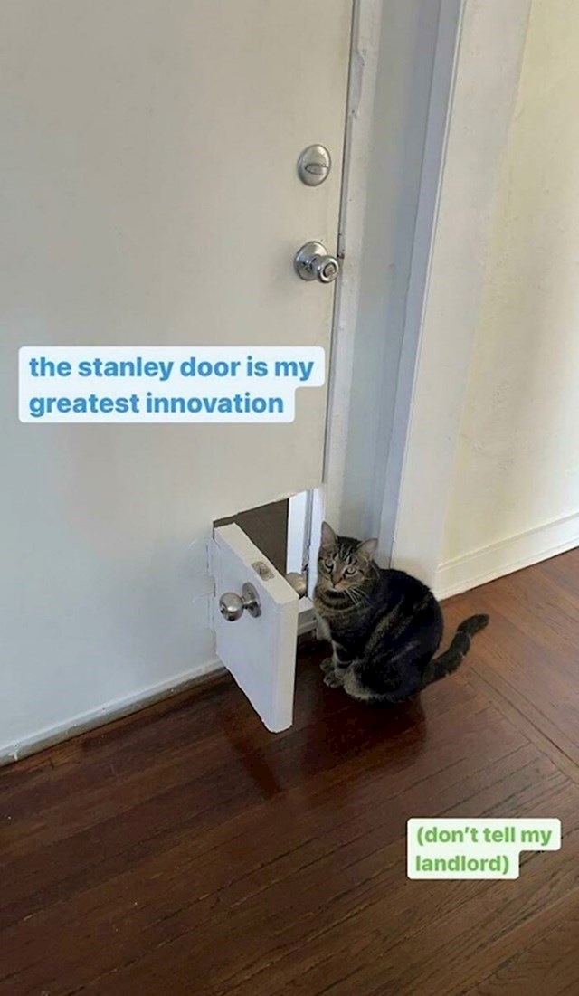 15.