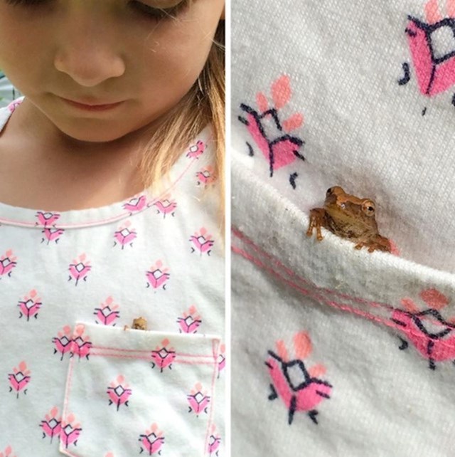 16. Žabica se sakrila u džep moje kćeri