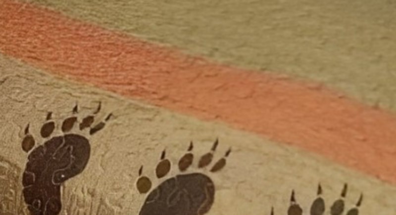 Tip je tražio psa preko 20 minuta, prasnut ćete u smijeh kad vidite gdje ga je konačno pronašao