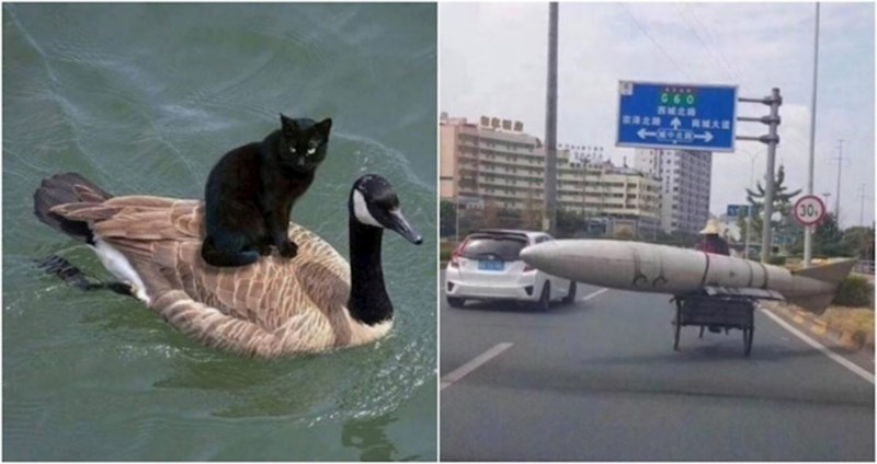 17 ljudi ugledali su neobjašnjive prizore nakon kojih su morali dobro protrljati oči