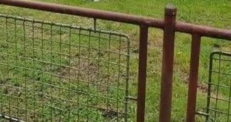 Detalj iz jednog dvorišta hit je u cijeloj regiji, morate vidjeti od čega su ljudi napravili stolice