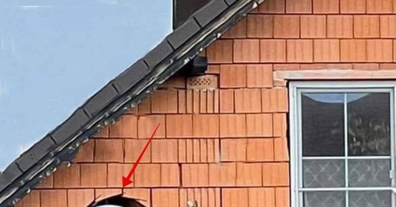 Detalj na nečijoj kući izazvao je salve smijeha na Fejsu, ovo je moguće vidjeti samo na Balkanu