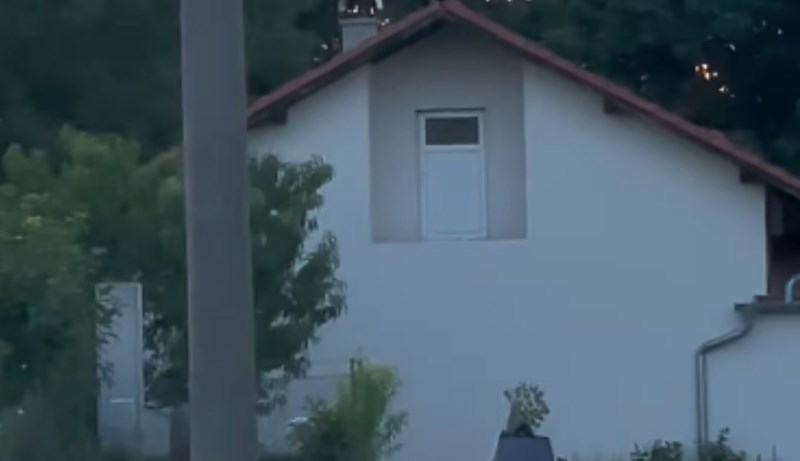 Hit snimka pokazuje prizore i situacije koje možete vidjeti samo na Balkanu, totalno je istinita